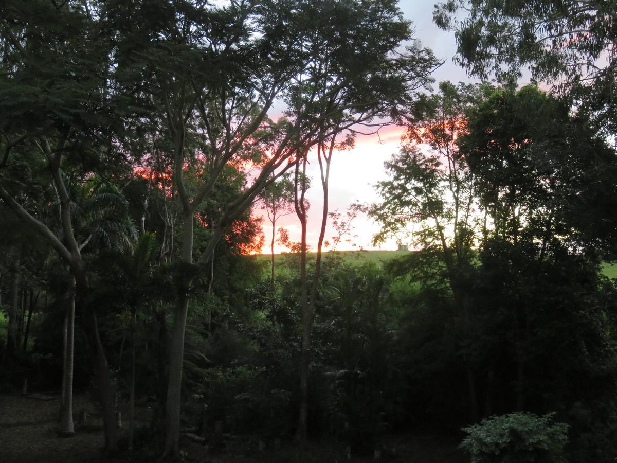 Keillor Lodge Maleny Buitenkant foto