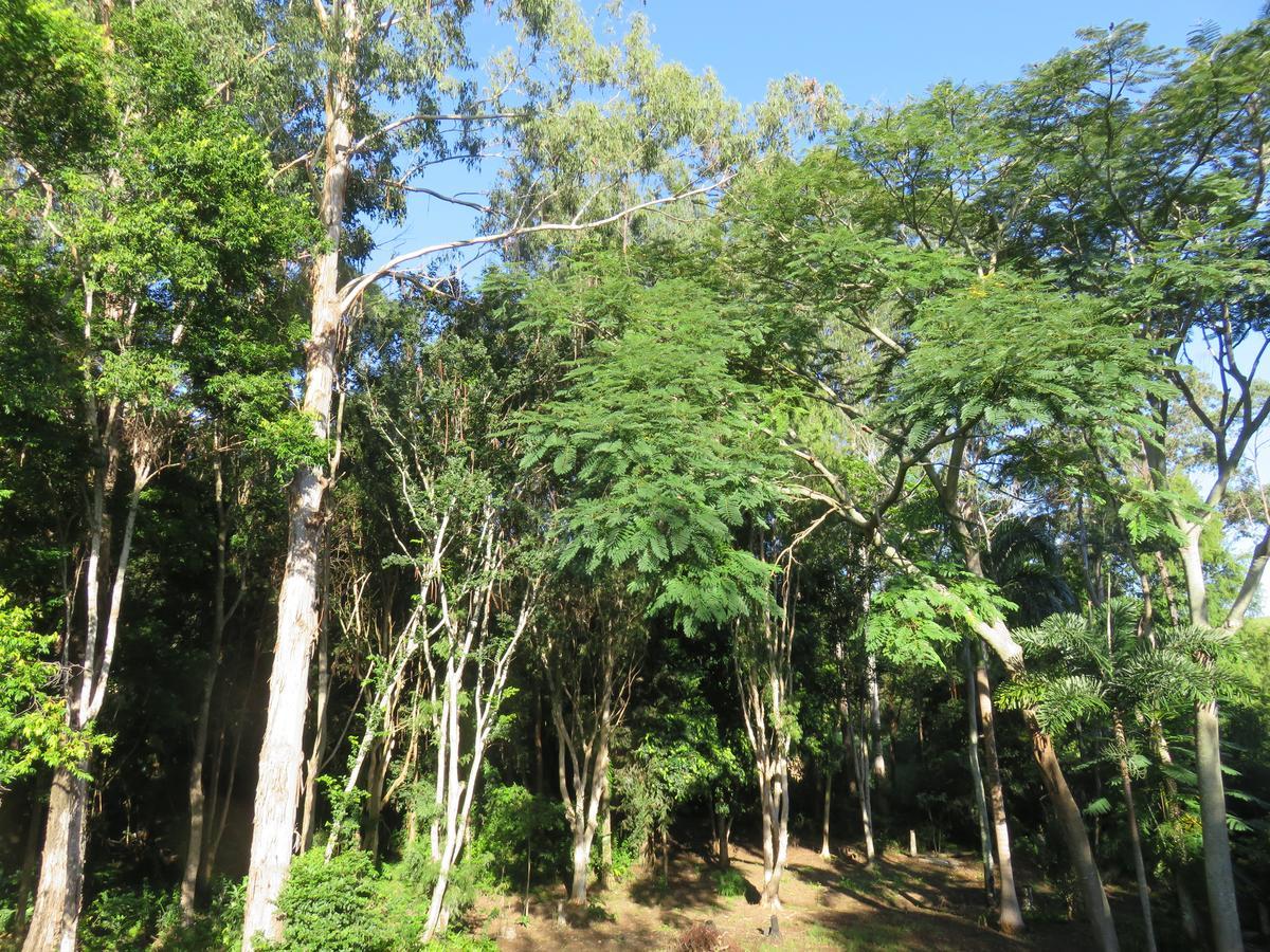 Keillor Lodge Maleny Buitenkant foto