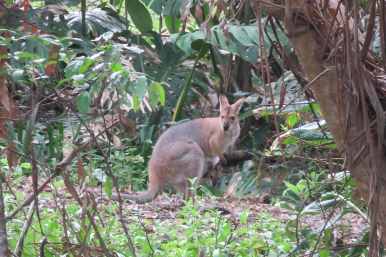 Keillor Lodge Maleny Buitenkant foto